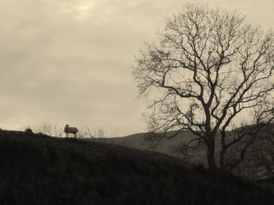 KINTYRE... PLUS.9 da Peter McClure